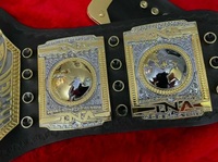 Ceinture de champion du monde poids lourd TNA en alliage de zinc plaqué or, design aigle, MMA, légère, unisexe, arts martiaux, 1 pièce