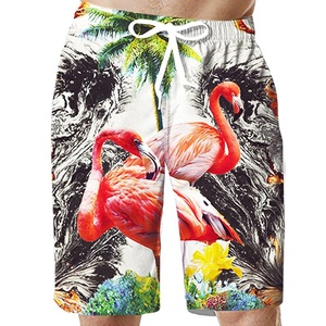 Shorts en maille pour hommes grande taille, mode été, avec impression par sublimation personnalisée, shorts de sport, shorts de gym, shorts cargo - Product Image 4