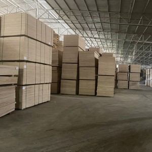 Meilleure valeur Bintangor contreplaqué 12mm/15mm/18mm norme européenne fiable en gros approvisionnement du Vietnam fabricant - Product Image 6