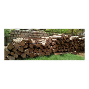 <b>Cheap</b> Price African Teak Logs Best Quality Export Grade Wholesale Trade Offer - Product Image 6