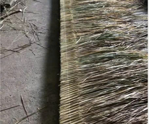 Parasol en feuilles de palmier naturelles 1,8 m, parasol de jardin et de plage en chaume, fabricant vietnamien, fournisseur en gros pour les complexes hôteliers en plein air, exportation - Product Image 3