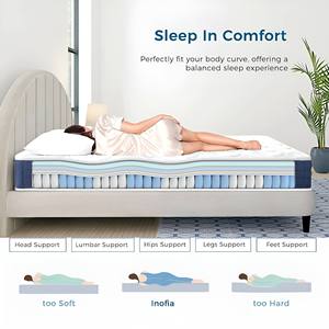Matelas Eurp Top Spring 10 pouces, matelas hybride à ressorts ensachés, 5 zones, ressorts ensachés individuels, respectueux de l'environnement - Product Image 6