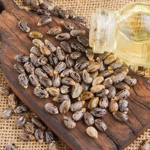 Semillas de ricino de calidad alimentaria superior - Product Image 1