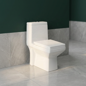 Inodoro de Cerámica de Una Pieza con Doble Descarga, Diseño Moderno para Baño y Uso Exterior, Precio Económico para el Mercado Saudí - Product Image 4