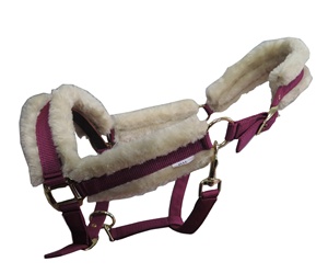 Cabestro de nailon para caballo con acolchado suave, accesorios duraderos para uso ecuestre occidental. - Product Image 5