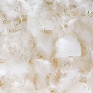 Plumas de Pato Teñidas Naturalmente Ecológicas, Ligeras, Flexibles y Suaves para Accesorios de Moda y Manualidades - Product Image 5