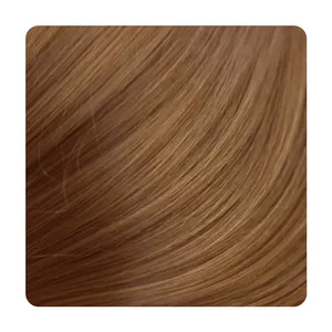 Pewarna rambut kualitas tinggi Henna coklat muda alami 100% pewarna rambut bubuk organik produsen produk OEM