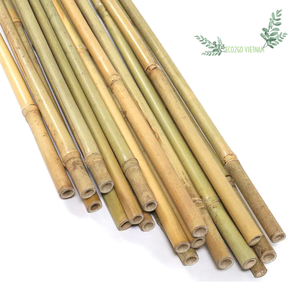 Natural <b>Bamboo</b> Pole <b>Bamboo</b> Stake for Plant Support Can Customize Size Packing With Cheap Price by ECO2GO VIETNAM - Product Image 5