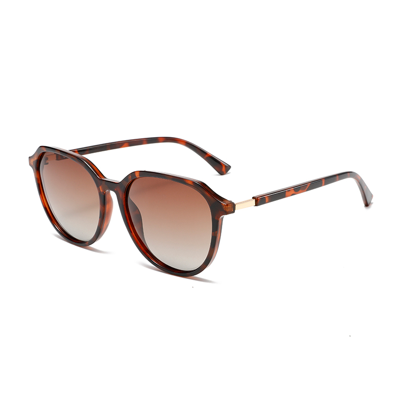 C6: Tort/ Brown Gradient