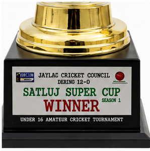 Cricket <b>Trophy</b> Golden Metal Award With Green Ribbon For Sports Achievement Display - Product Image 4