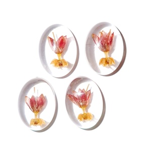 Cabujón de Plástico Transparente con Forma Ovalada de Flor de Milkweed Tropical, 18x25 mm, Base Plana para Manualidades y Joyería - Product Image 6