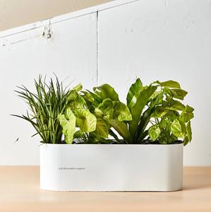 Jardinière rectangulaire longue en métal rose mat, moderne et écologique, pour décoration intérieure et extérieure, bac à fenêtre, plantes succulentes, herbes, pots de fleurs - Product Image 5