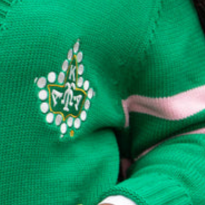 Cárdigan Verde Personalizado para Mujer con Diseño de Escudo Bordado, Rayas Rosas, Cuello en V, Botones al Frente, Tejido de Punto, Manga Larga, Estilo Casual - Product Image 4