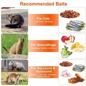 Trappola per animali vivi in rete zincata resistente 37x14x15 pollici con grilletto a pedale sensibile, porta di rilascio posteriore e maniglia protetta, ideale per animali domestici - Product Image 3