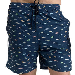 Shorts de bain pour hommes grande taille à rayures, séchage rapide, imperméables, pour la plage, le surf et la natation, vente chaude - Product Image 1
