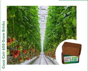 Bloque de hueso de coco de alta calidad, suministro de 650 gramos, gran venta para el cultivo y macetas de jardineros aficionados en formas de pellets de ladrillo - Product Image 6