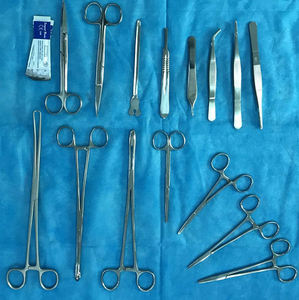 Prix d'usine – Kit d'instruments chirurgicaux vétérinaires de base pour tissus mous, pour animaux, par Dentavex - Product Image 2