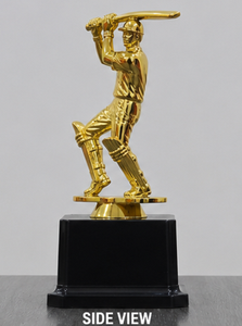 Fast Delivery Golden Cricket <b>Trophy</b> <b>Cup</b> Factory Price Sport Competition Awards Gift Plastic <b>Trophy</b> Customized 2D/3D Design UV - Product Image 4
