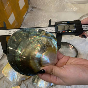 แผ่นเปลือกหอยมุกขัดเงาสีดำสองด้าน งานแฮนด์เมดจากเปลือกหอยธรรมชาติ เวียดนาม ผู้จัดจำหน่ายของตกแต่งบ้านสุดหรู - Product Image 1