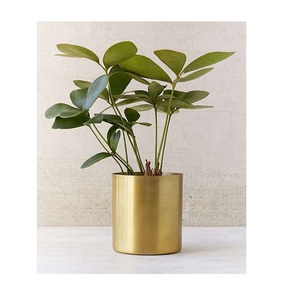 Pot de fleurs en métal style vintage avec finition antique pour la décoration intérieure et extérieure, à des fins de jardinage - Product Image 6