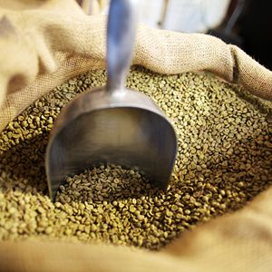 Best Selling Vietnam Robusta Coffee <b>Beans</b> Size 16 AA+ Pure Natural 60kg PP <b>Bags</b> Factory Supply - Product Image 4