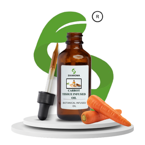 Aceite de Zanahoria de Primera Calidad Infusionado con Células Celulares para Fabricación Cosmética, Cuidado Personal, Aromaterapia y Suministro Global a Granel - Product Image 1