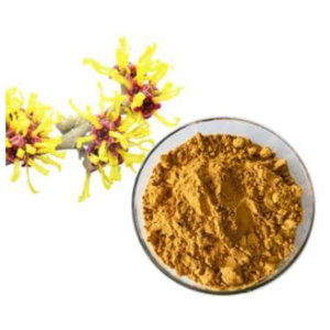 Suministro al por mayor de polvo de hamamelis, extracto natural de alta calidad para productos cosméticos a bajo precio - Product Image 4