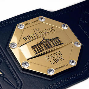 Ceinture de boxe professionnelle en alliage de zinc respirante et robuste pour l'entraînement d'Aikido et de Jiu-Jitsu – Qualité supérieure, personnalisable – Offre spéciale - Product Image 4