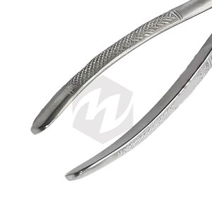 คีมถอนฟันคุณภาพพรีเมียม NO MD3 Mead Forceps เครื่องมือทันตกรรมแบบใช้มือที่มีประสิทธิภาพ ทนทาน และแม่นยำ - Product Image 6
