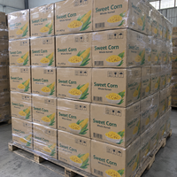 Maïs sucré en conserve de qualité supérieure, proposé en boîtes en vrac pour les importateurs alimentaires exigeant une approvisionnement stable et un emballage haut de gamme