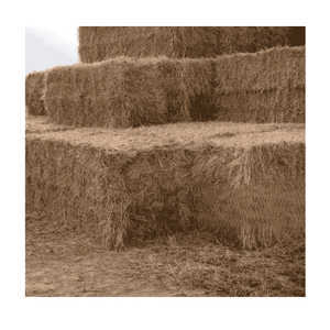 Alimento para animales con alto contenido de proteínas para ganado porcino, pacas de heno de paja de trigo picado secado a caballo empaquetadas en bolsas - Product Image 1