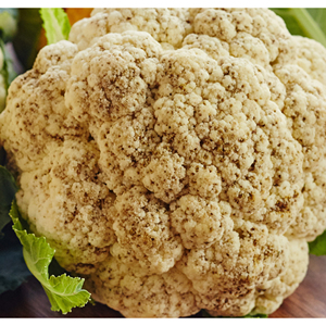 Coliflor fresca de alta calidad al mejor precio - Product Image 1