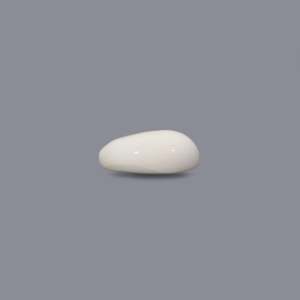 Natural White Coral Oval Cabochon 9.55 Carat Loose Gemstone Certified Wholesale - Product Image 3