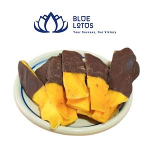 Mango Seco Dulce Sostenible Bañado en Chocolate con Mezcla de Frutas, ¡EN OFERTA! - Product Image 1