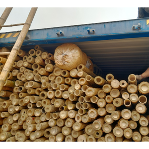 Postes de Bambú de Primera Calidad para Construcción y Proyectos al Aire Libre - Product Image 6