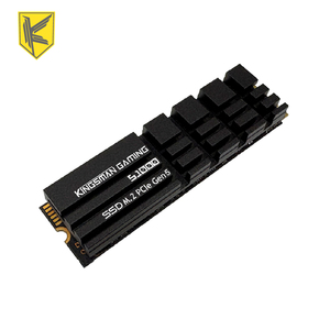 KINGSMAN SSD interne 4 To NVMe M.2 PCIe Gen5x4 avec dissipateur thermique pour jeux, IA et station de travail - Product Image 1