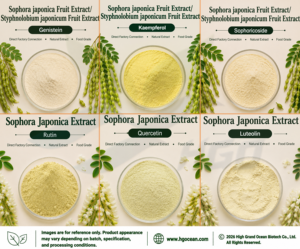 Suministro Directo de Fábrica HGO, Extracto Puro y Natural de Fruta de Sophora Japonica, Genisteína 80%-98%, Grado Alimenticio, Empaquetado en Tambor - Product Image 2