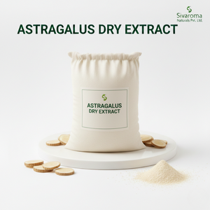 Extrait de racine d'astragale conçu pour les acheteurs commerciaux ayant besoin de profils d'ingrédients botaniques fiables - Product Image 3