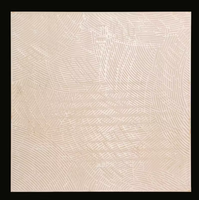 Carrelage en porcelaine brillant 600x600 800x800mm 10mm Antibactérien Villa CE