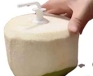 Hot new fresh coconut with easy open press button high quality made in Vietnam