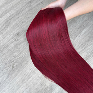 Cabello Humano Virgen Vietnamita Liso Natural de Lujo, Súper Doble Trama, Envío Rápido Directo de Fábrica - Product Image 1