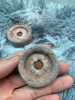 Blok Jiffy Sabut Kelapa Ramah Lingkungan, Biodegradable, dan Terkompresi, Premium Fiber Peat Plugs untuk Perkecambahan Benih dan Perbanyakan Tanaman Dalam Ruangan