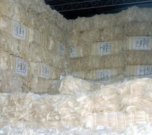 Suministro al por Mayor de Fibra de Sisal Natural Cruda - Product Image 2