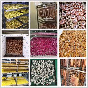 Déshydrateur de fruits poisson ananas viande séchage Machine armoire boeuf pompe à chaleur sèche pour fruits légumes - Product Image 2