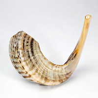 Shofar Naturel de Haute Qualité en Corne de Biche, Écologique, Moderne, Étanche, Poli, Décoration d'Intérieur, Style Animalier
