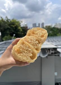 Épurateur de luffa naturel écologique 10-12cm prix bon marché/luffa de culture biologique du Vietnam pour éponge de cuisine et de salle de bain - Product Image 3