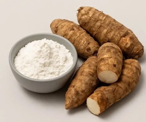 Poudre de racine de arrowroot 100 % pure – Fournisseur en gros du Vietnam pour l'industrie alimentaire - Product Image 4