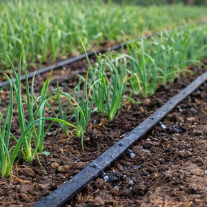 2000m長尺点滴灌漑テープ、大型農地や広範囲の植栽エリア向けフレキシブルレイフラット設計 - Product Image 5