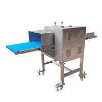 Cortadora de Carne Horizontal Pequeña de Acero Inoxidable Dezoton, Máquina para Filetear Pechuga de Pollo y Tocino con Cinta Transportadora