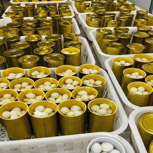 Huevos de codorniz enlatados listos para comer en salmuera sin cáscara, procesados en Vietnam, etiqueta OEM, estándar de exportación, precio competitivo al por mayor. - Product Image 3